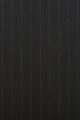 Pinstripes Pleated Wide Leg Pants