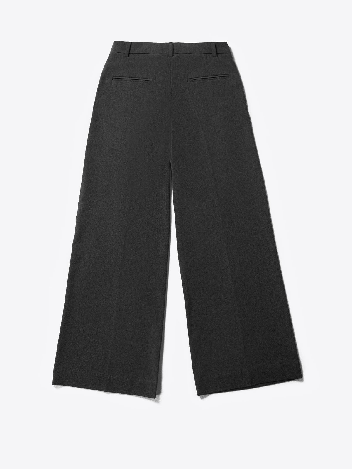 Low-rise black wide leg pants with a fitted belt, pleats, and multiple pockets, designed for a formal and smart look.