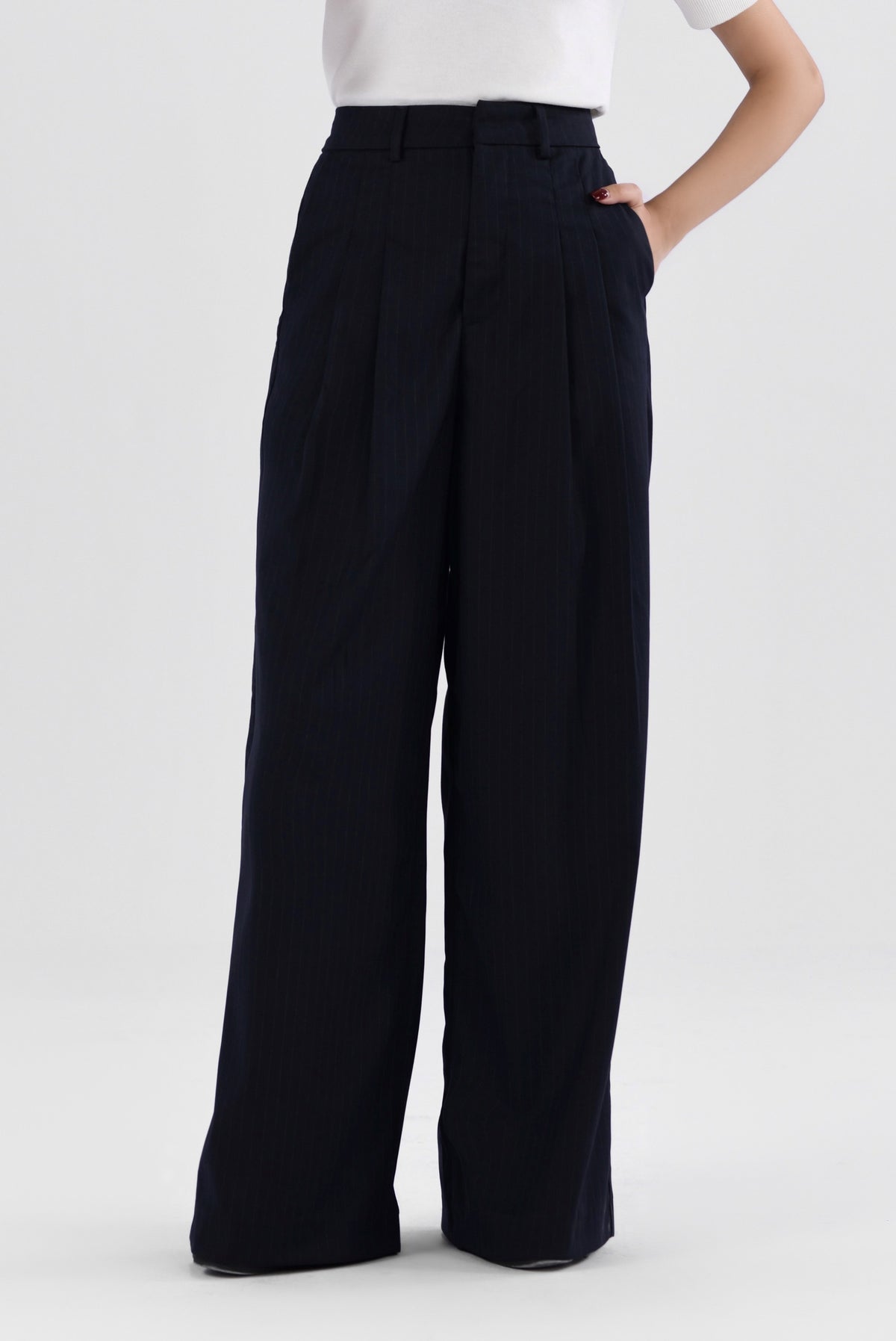 Pinstripes Pleated Wide Leg Pants